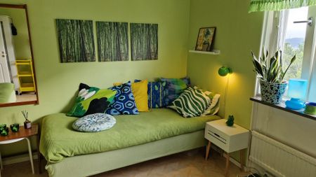 Doktor Forselius Gata, Göteborg - Foto 2