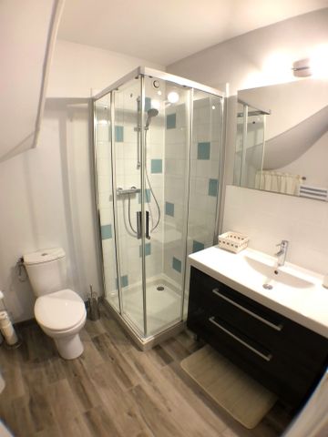 Location Appartement 1 pièce 22m² ORLEANS 45000 - Photo 5