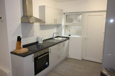 13 Capstone Street, Belfast BT9 7HN - Photo 4