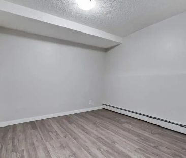 1 Bedroom - Photo 6