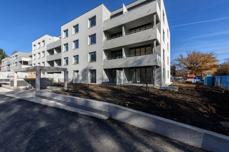Un environnement verdoyant à Chêne-Bougeries – Logement HM - Photo 5