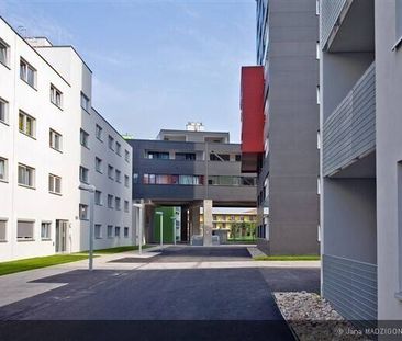Drei-Zimmer-Wohnung mit Loggia - Photo 1