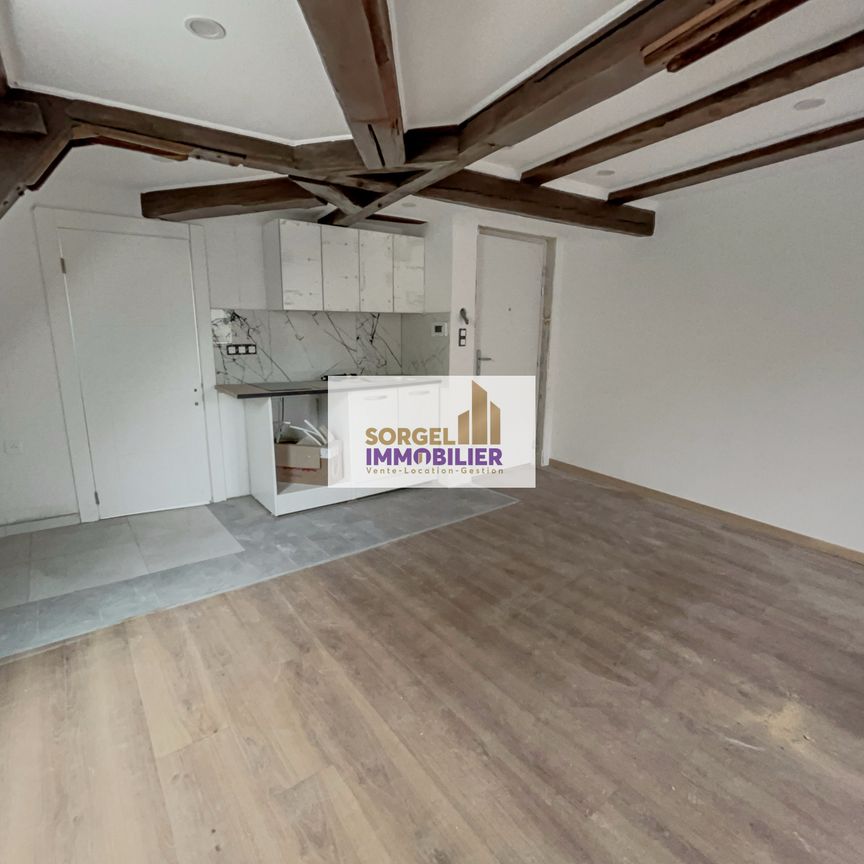 Location Appartement 1 pièce 22m² SELESTAT 67600 - Photo 1