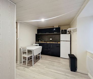 Location Appartement 1 pièce 20m² - Photo 3
