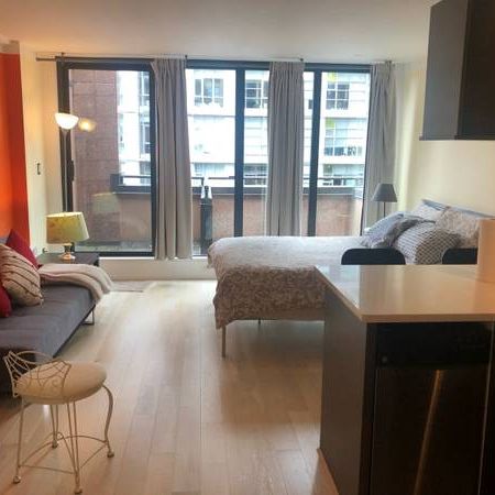 Move in fantastic furnished downtown - Photo 4