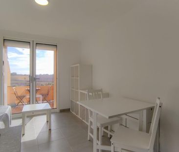 Location Appartement 1 pièce Meublé 17m² LA LONDE LES MAURES 83250 - Photo 4