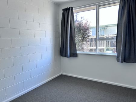 Fully Renovated sunny two bedroom unit - Photo 3