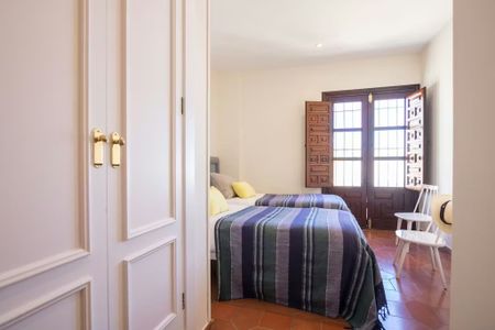 Calle Conde de Ibarra, Sevilla, Andalusia 41004 - Photo 3