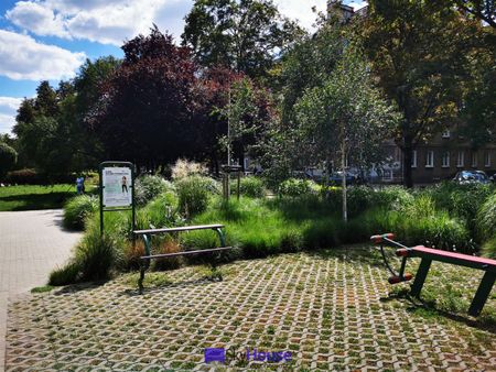 Wrocław, Śródmieście, Nadodrze - Zdjęcie 5