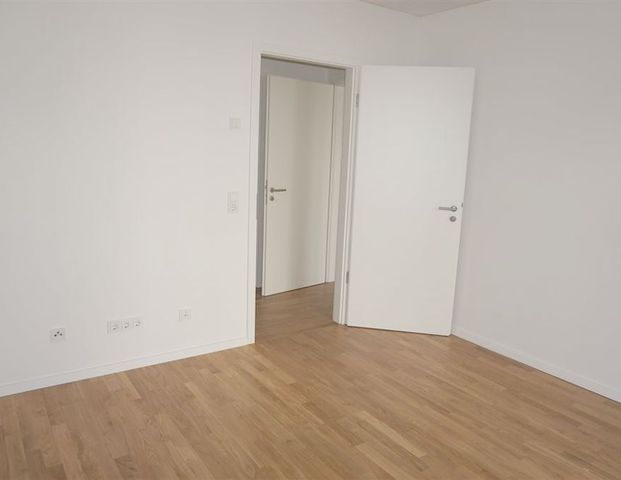 Trier: Wohnen an der Mosel – moderne 3 ZKB Erdgeschosswohnung mit Einbauküche und Terrasse - Foto 1