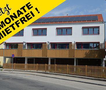 Wohnung in Allentsteig - Foto 3