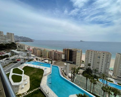 Apartment rental on Puerto Rico street. - Photo 1
