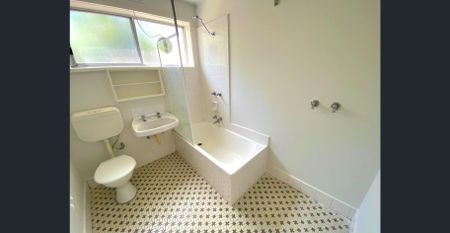 SPACIOUS TWO BEDROOM IN LEAFY TREE-LINED STREET - Photo 4