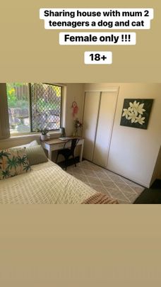 Pacific Pines - Photo 1