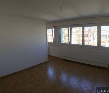 Appartement rénové de 2.5 pièces à Onex - Foto 4