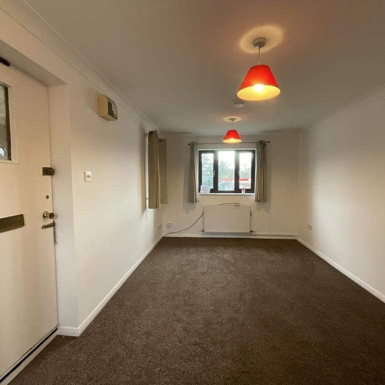 1 bedroom ground floor flat to rent - Photo 1