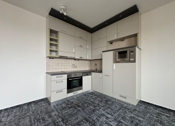 Pronájem bytu 1+kk 43 m² - Photo 1