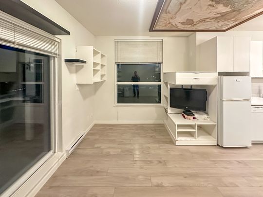 Bachelor Suite For Rent In Surrey/ Pets Allowed. - Photo 1