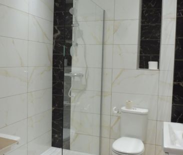 LOCATION MEUBLEE 40m2 - Bd Edouard Herriot - Photo 4