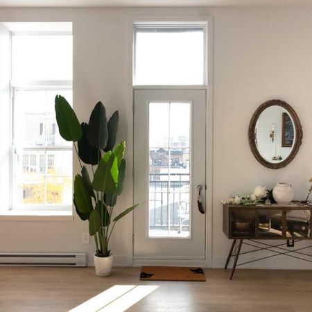 Magnifique 4½ lumineux à aire ouverte à Saint-Hyacinthe - Photo 4