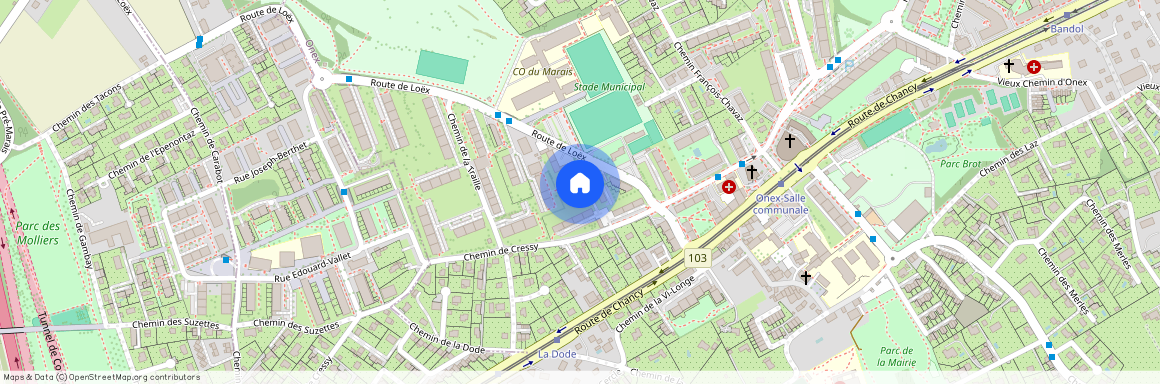 Ch. de Cressy 6 B, 1213 Onex