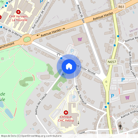 Avenue des Tilleuls 8 00B, 4802 Heusy, België