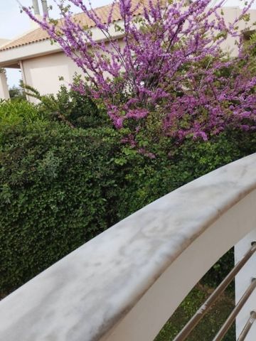 Μεζονέτα για ενοικίαση Κηφισιά - Photo 3