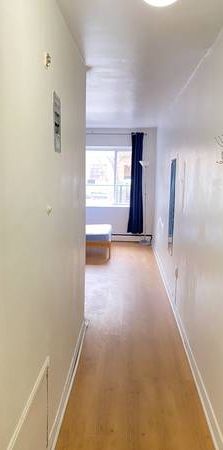 STUDIO ON PLATEAU CLOSE TO SUBWAY and McGill or Guy Concordia Universi - Photo 1