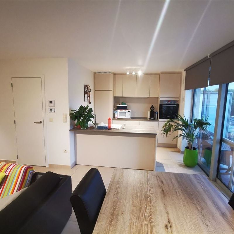 Appartement te huur in Denderwindeke - Photo 1