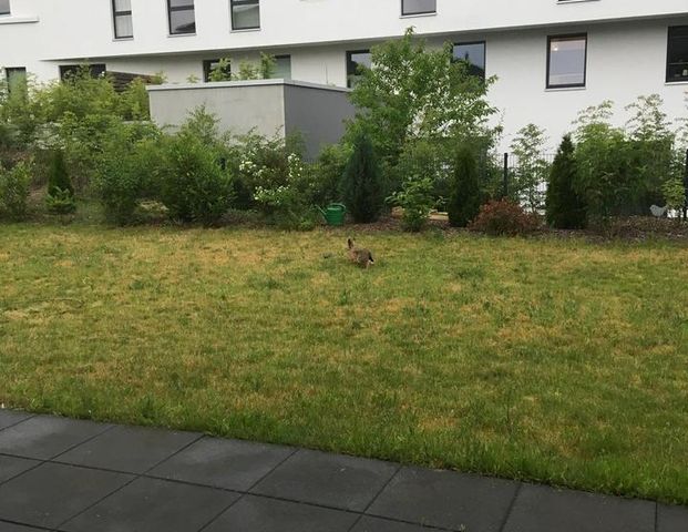 3 Zimmer Wohnung mit großer Wohnküche im Hanseviertel - Foto 1