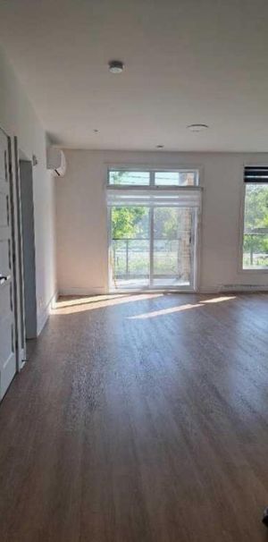 Grand 3 1/2 à louer Beloeil Animaux acceptés - Photo 1