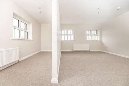 A Greystone House, 28 Cullenramer Road, Dungannon, BT70 1SS - Photo 3