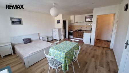 Pronájem bytu 1+kk v osobním vlastnictví 39 m², Zásada - Фото 3
