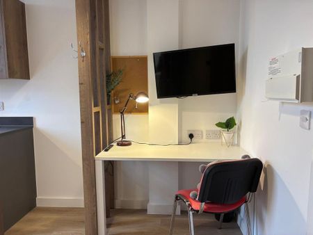 1 bedroom private hall to rent - Photo 4