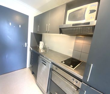 Te Aro Living -One week rent free! - Photo 1