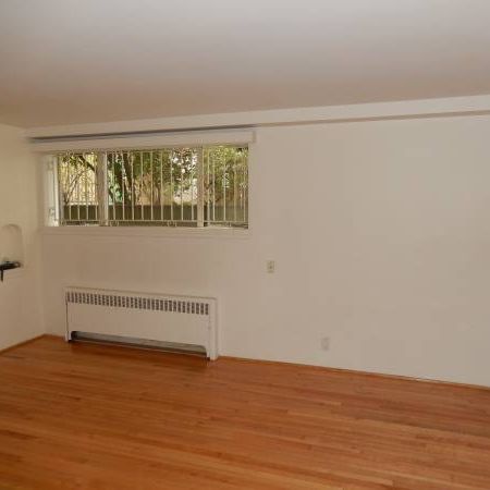 Studio Suite West of Denman - Photo 4