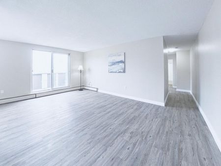 Courtyard Apartments - ALL INCLUSIVE - Photo 2