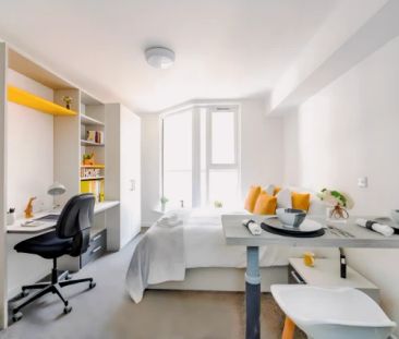 1 Bedroom, 1 Bathroom - Photo 3