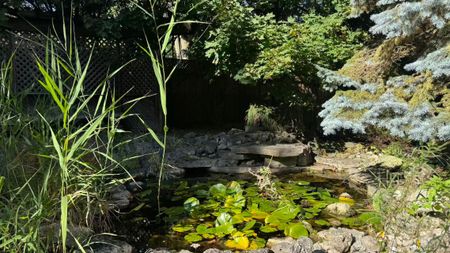 For Lease - 1523 Duncan Road, Oakville, Ontario - Photo 5