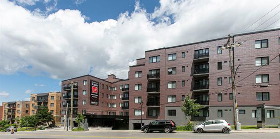 4851 Côte-St-Luc Road - The Mooncrest - 1 Bedroom - 4851 Chemin De La Côte-Saint-Luc, Montréal - Photo 3