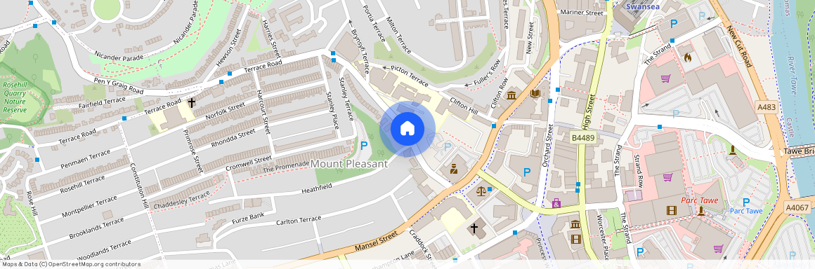 Mount Pleasant, Mount Pleasant, Swansea