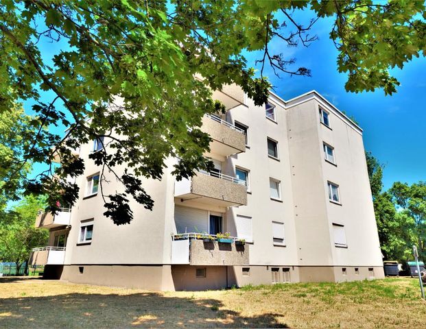 Demnächst frei! 2-Zimmer-Wohnung in Frankenthal (Pfalz) - Photo 1