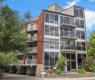 1160 Merivale Road #202: Bachelor Apartment (Carlington, Ottawa) | ... - Photo 1