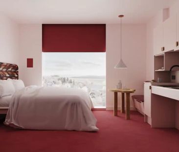 Deluxe Duo - Photo 5