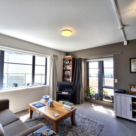 Sunny Thorndon Apartment - Photo 3