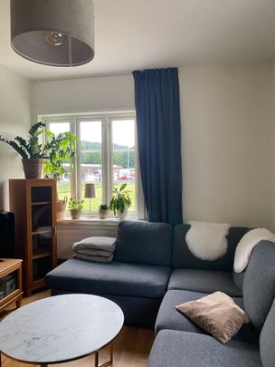 Rogsholmsvägen, Borås - Photo 1