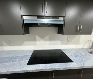 For Lease - 32 Gulfbrook Circle Unit# Bsmt, Brampton, Ontario - Photo 6