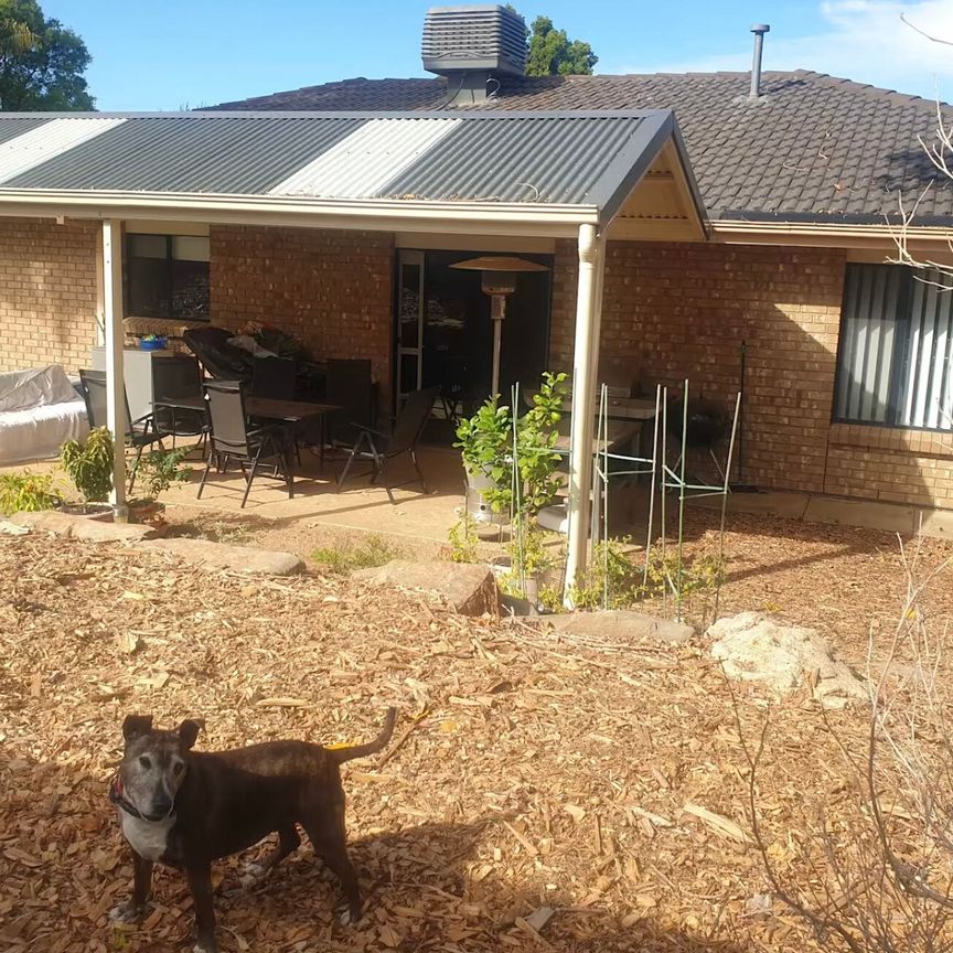 Blair Athol - Photo 1