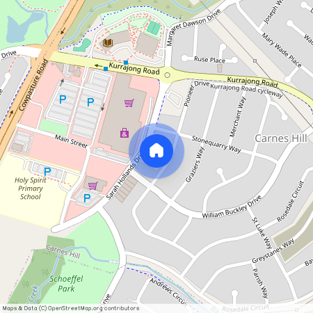 93 Pioneer Drive, NSW 2171, Carnes Hill