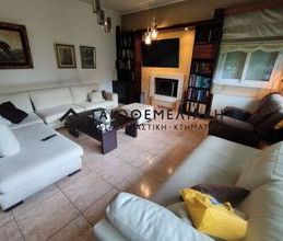 Μονοκατοικία για ενοικίαση - Άνοιξη - Photo 2